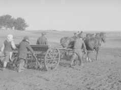 Porady agrotechniczne sprzed blisko stu lat. Czy nadal są aktualne?