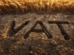 Likwidacja spółki cywilnej w gospodarstwie rolnym a VAT – jak uniknąć zwrotu podatku?