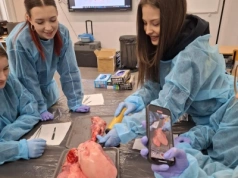 Rozcięli serce, aby zobaczyć, jak naprawdę działa