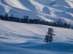 Wybierasz się na weekend w Bieszczady? W górach panują wyjątkowo trudne warunki