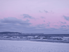 Niepokojące, co dzieje się na polskich plażach. Ludzie łapią za telefony i alarmują służby