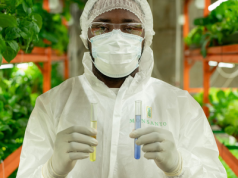 Oszustwo związane z Roundupem: Jak firma Monsanto pomogła stworzyć „naukowe” twierdzenia, że jej środek chwastobójczy jest bezpieczny