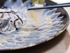 Przysmak, który potrafi zabić. Ryba z neurotoksyną silniejszą niż cyjanek. Nadal trafia na talerze