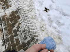 Rzeszów tonie w psich odchodach? Mieszkańcom puszczają nerwy na widok „Przebiśniegów”