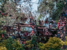 Tu od 70 lat lalki wiszą na drzewach i patrzą na turystów. Ich historia jest przerażająca