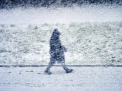 Dwucyfrowy mróz i zamiecie śnieżne. Prognoza pogody na koniec weekendu