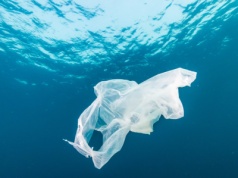 Nie ma już czystych miejsc. Najczystsze obszary na świecie są skażone