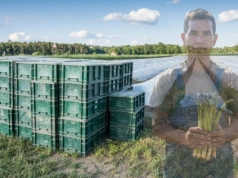 Partia Merza chce, by polscy pracownicy sezonowi w Niemczech byli opłacani poniżej płacy minimalnej