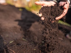 600 kg kompostu za darmo dla każdego mieszkańca. Wystarczy się zgłosić