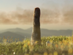 Osiem metrów tajemnicy. Naukowcy odkryli wymarłą formę życia