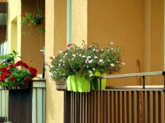 Zwykłe doniczki? Już nie. Ten kuchenny gadżet zrobi furorę na balkonach w 2026 roku