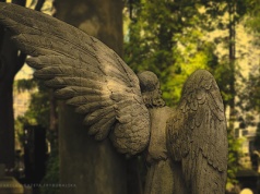 Po co czytać poezję?