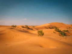 Mumie z libijskiej pustyni skrywają zapomnianą gałąź ludzkości. To nieznana nauce linia genetyczna