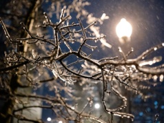 W nocy do 29 st. C mrozu na północnym wschodzie kraju