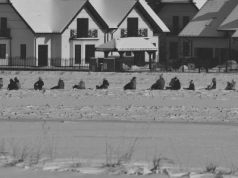 Tragiczny finał nielegalnego kuligu. 49-latek uderzył głową w słup