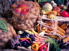 Niepokojące wyniki kontroli. IJHARS blokuje kolejne partie importowanej żywności