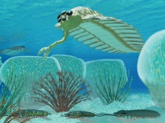 Wyjątkowe skamieniałości z Chin. Okno na życie sprzed 512 mln lat