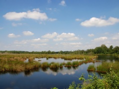 Wiceminister klimatu: strategia bezpieczeństwa zasobów wodnych Polski na początku 2027 r.