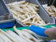 Po latach wracają z Holandii do kraju. "Oszukała mnie, skończyła się"