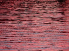 Czyste powietrze, relaks i idealny weekend w SPA na Mazurach