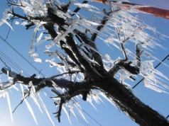 Silny mróz opanowuje Polskę. IMGW wydało alerty w dwóch stopniach