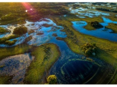 Pomagają walczyć z ekstremalną pogodą. Dziś jest ich święto