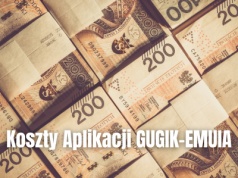 Ile kosztowała Aplikacja GUGiK-EMUiA