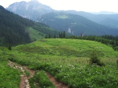 Wysranki. Nazwa, która rozśmiesza do łez. Jej pochodzenie jest bardzo przyziemne