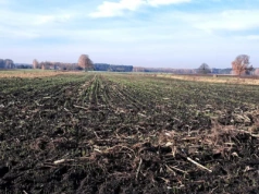 Nowe limity kredytów preferencyjnych ARiMR. Ruszyło wsparcie na inwestycje i zakup ziemi