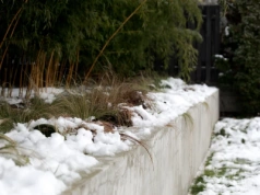 Luty w ogrodzie? Ten jeden miesiąc decyduje, czy wiosną będziesz miał plony czy problemy