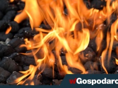 Kopciuchom mówimy „tak”! Decyduje ekonomia, a nie smog