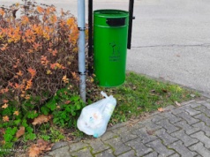 Jedno zdjęcie za 1000 słów. Kobieta i śmieci
