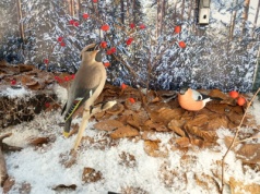 Zarażają ekologią i przyrodą. Bielska „Ekosynteza” tętni życiem | WIDEO