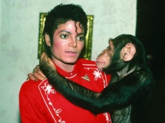 Gdzie jest szympans Michaela Jacksona? Ma 43 lata i pojawił się w nowym filmie