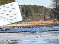 Nawet 8 stopni ciepła już wkrótce. Szykuje się nagły zwrot w pogodzie