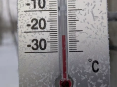 Noc nawet do -30°C. Czy najgorsze już za nami? Co tak silny mróz oznacza dla plantacji jagodowych?
