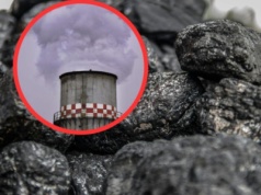 Zakaz palenia węglem? Polacy mocno podzieleni!