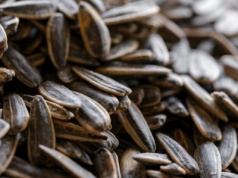 Pilne wycofanie pestek słonecznika. Wykryto w nich groźne toksyny