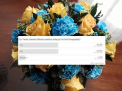 Wojna w tle, UE na horyzoncie. Czy Ukraina powinna dołączyć do Unii Europejskiej?