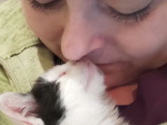 Ratowała innych, dziś sama potrzebuje pomocy. Zbiórka dla weterynarki z Jaworzna