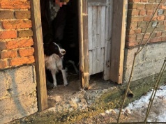 Dwa lata drogi, jeden przyjaciel. Historia mężczyzny, który pieszo wrócił z Francji do Polski