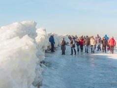 To może być pierwszy taki rok w Polsce od dawna. Wszystko dzięki mrozom