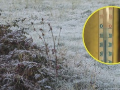 Za mroźną zimę zapłacą klienci. Rolnicy nie ukrywają czarnego scenariusza