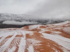 Biała Sahara. Niecodzienne obrazki z największej pustyni świata