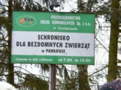 Wolontariusze spotkali się z prezydentem Ciechanowa ws. schroniska w Pawłowie. Wydali oświadczenie