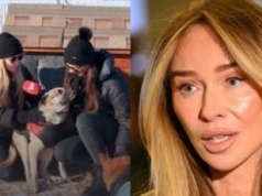 Razem z Joanną Przetakiewicz odwiedziliśmy schronisko dla zwierząt w Kruszewie. Celebrytka APELUJE do Polaków