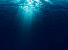 Metale ziem rzadkich odkryte 6 km pod dnem oceanu. Japonia chce uniezależnić się od Chin