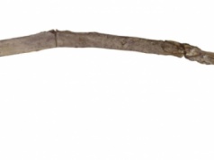 W Grecji odkryto najstarsze znane drewniane narzędzia używane przez człowieka