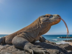 Takich treści jest w sieci coraz więcej. Trudno odróżnić prawdę od fikcji