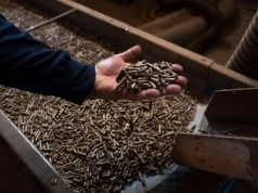 Alarm na rynku opału. Brak pelletu uderza w ekologiczne ogrzewanie